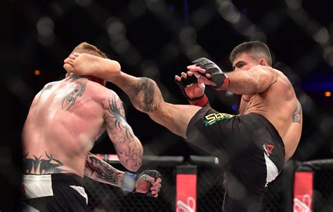 The Top 10 Best Head Kick Knockouts In Mma