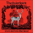 ‎The Duke Spiritの「Cuts Across the Land」をApple Musicで