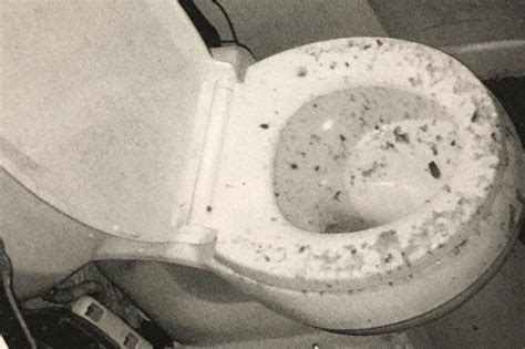 Watch Woman Sues After Toilet Explodes During Use