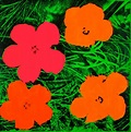 Andy Warhol (1928 – 1987) Flowers 1964 Private collection © 2019 The ...