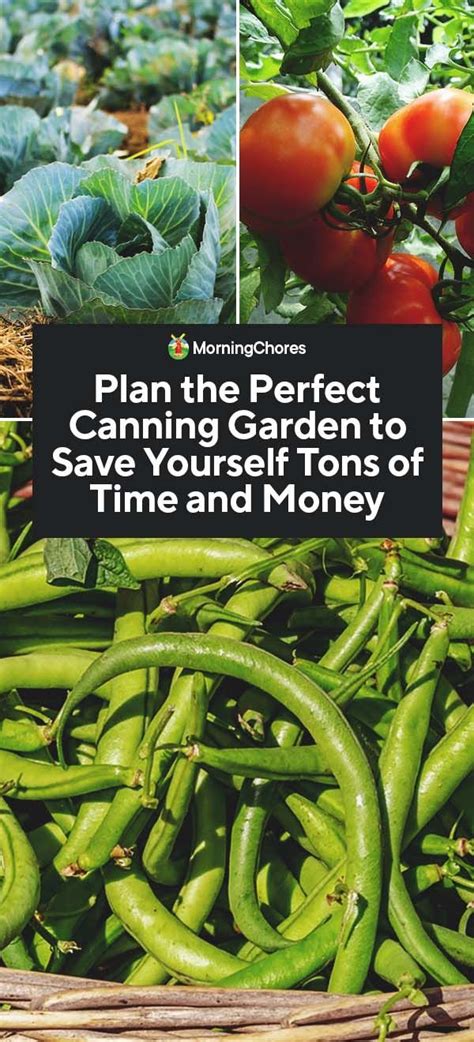 Plan The Perfect Canning Garden To Save Yourself Tons Of Time And Money