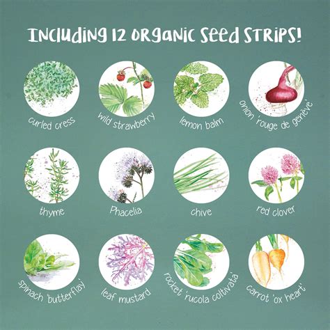 The Growable Calendar 2022 Jack Of All Trades Organic Seed Calendar