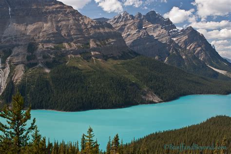 Close Up View Of Turquoise Water Of Peyto Lake In Banff National Park