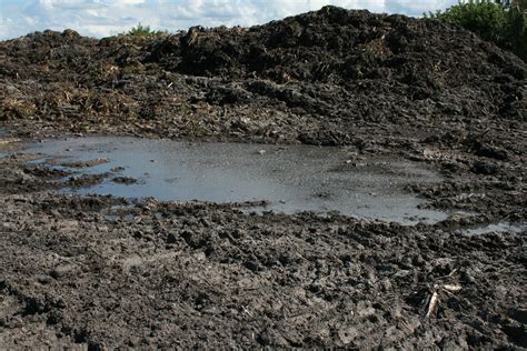 This is Quick Sand. Moore Haven, Florida | Quicksand is foun… | Flickr