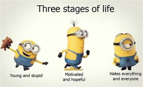 Everyone loves minions funny text messages and these hilarious minion quotes will put a smile on your face. 20 New Minion Quotes
