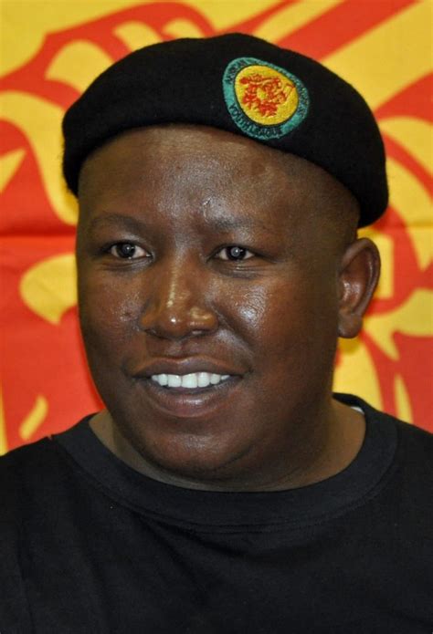 Top 10 Remarkable Facts About Julius Malema Discover Walks Blog
