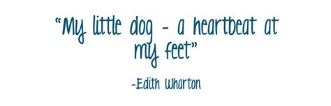 Pin By Gwendolyn Barnhard On Lovable Canines Dog Quotes Dog Quotes