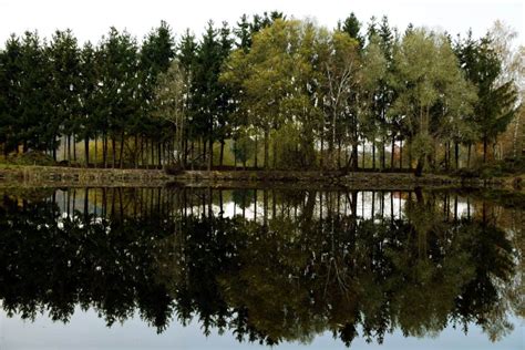 Free Picture Landscape Reflection Tree Lake Nature Water Nature