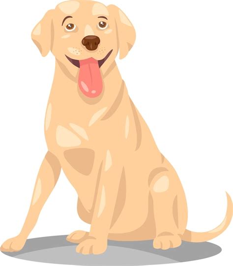 Premium Vector Labrador Retriever Dog Cartoon