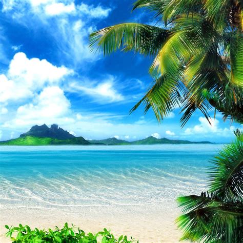 Discover 74 Summer Wallpaper For Ipad Latest Incdgdbentre
