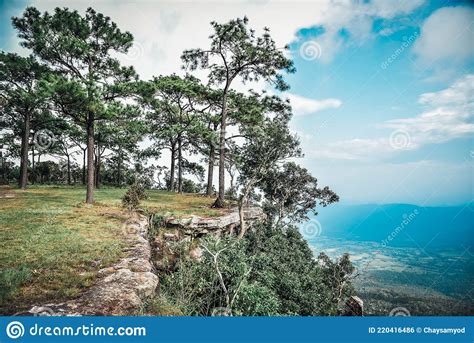 Pha Mak Dook Cliff Viewpoint On Khao Phu Kradueng National Park Loei