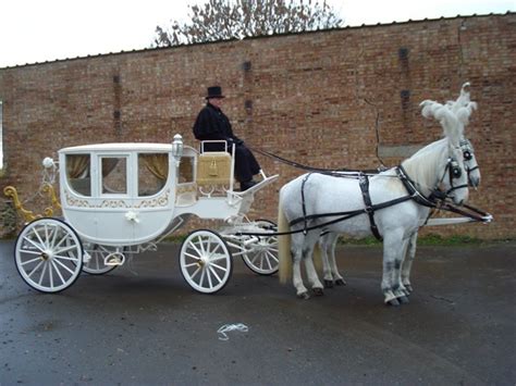 Horse Drawn Carriage For Weddings Essex And London