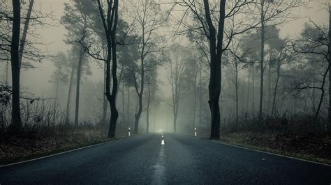 Fondos De Pantalla 1920x1080 Bosques Carreteras árboles Niebla Asfalto