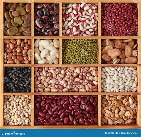 Different Beans Stock Image Image Of Beans Runner Broad 23289447