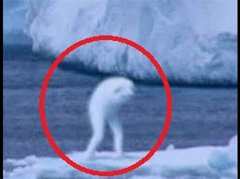I personally believe that the easter bunny and santa are real, so i get gifts. Real Easter Bunny Caught On Tape? - YouTube