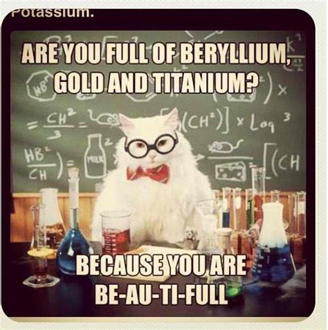 Science Cat Science Puns Chemistry Cat Chemistry Jokes