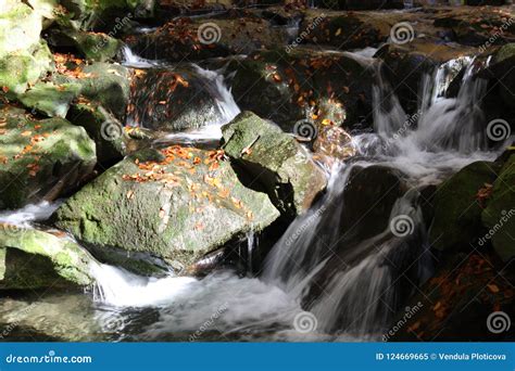 Stones In The Autumn River Stock Image Image Of Fallen Greygreen