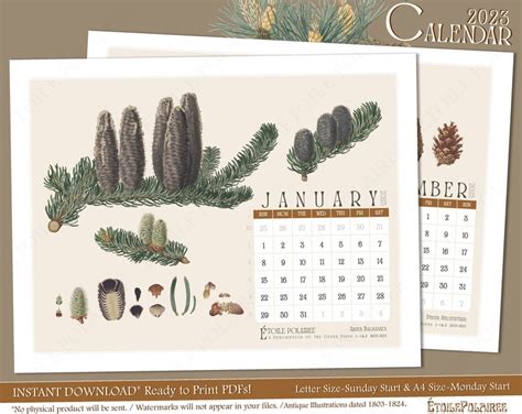 Botanical Calendar 2023 Printable Antique Pine Etsy
