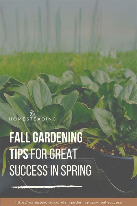 Top 10 Fall Gardening Tips How To Prepare Your Garden For Spring