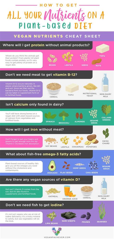 Vegan Nutrition 101 Getting All Your Nutrients On A Vegan Diet Vegan
