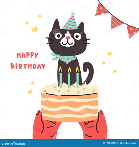Pet Birthday Partycat In Festive Capcartoon Stock Illustration