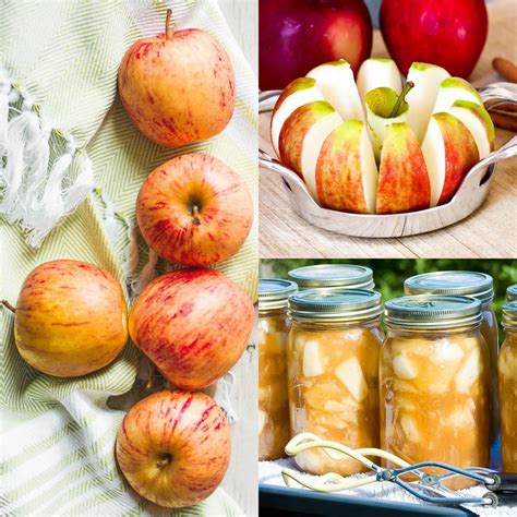 Starting with the apple pie filling you love, we've got 10 recipes that are all pie, no fuss. This easy canned apple pie filling recipe is so simple ...