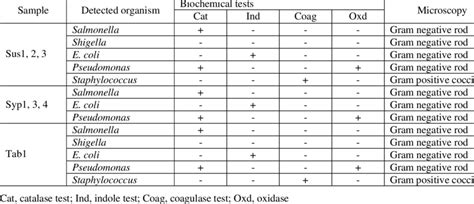 Biochemical Testing And Microscopic Features Of Detected Bacteria