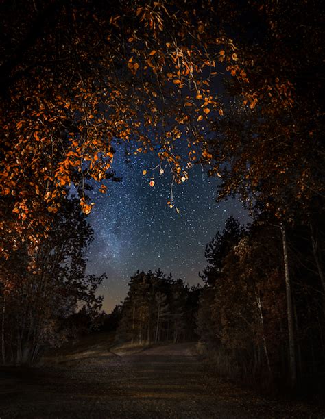 Autumn Night Sky