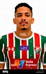 Brazilian Football League Serie A 2018 / ( Fluminense Football Club ...