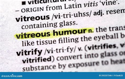 Vitreous Humour Stock Photos Free And Royalty Free Stock Photos From