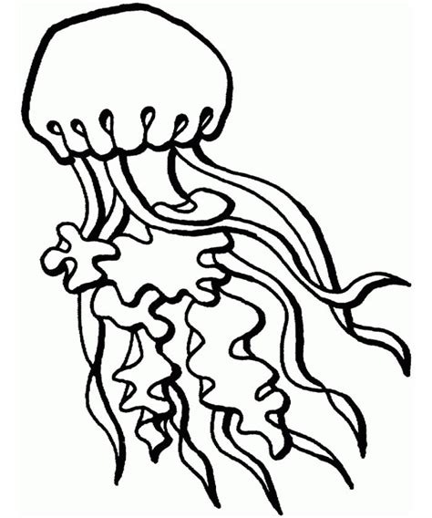 This free coloring page features a plethora of cute free printable jellyfish coloring pages download and print jellyfish coloring pages for kids. 65+ Sea Creature Templates - Printable Crafts & Colouring ...