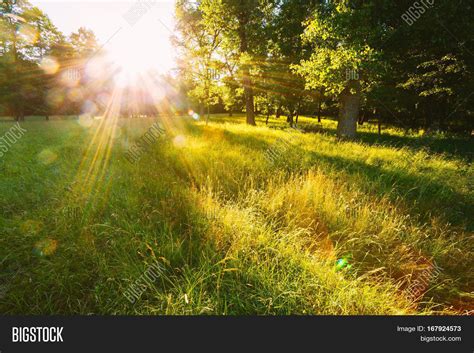 Sunset Sunrise Forest Image And Photo Free Trial Bigstock