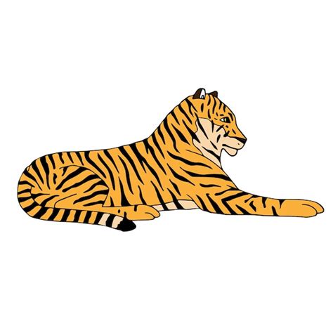 Desenho Tigre Deitado Isolado No Fundo Branco Vetor Premium