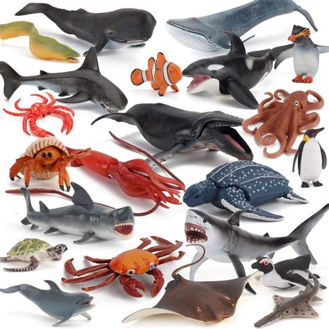 Many Different Types Of Sea Animals Are Shown In This Image Including