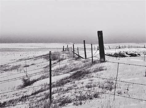 Winter Solitude Photograph By William Fields Fine Art America
