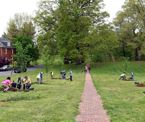 Roanoke Urban Forestry And Volunteer Tree Stewards Plant Trees For