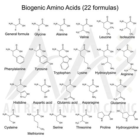 Vitamins And Amino Acids Treatment Information Aai Clinic