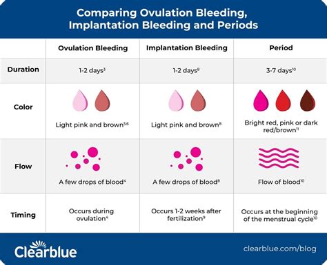 How Does Implantation Bleeding Look Like Smile Delive Vrogue Co