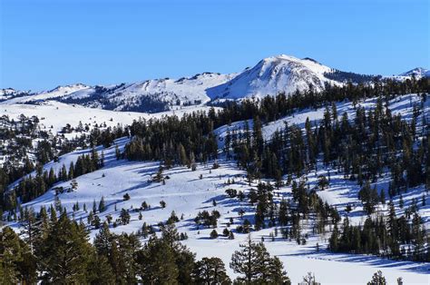 Mountains Scenery Nevada Snow Trees Nature Forest Sky Winter