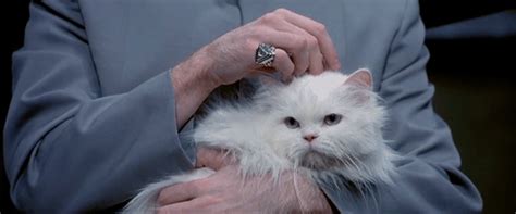 These 12 Movie Cats Totally Stole Scenes From Stars Mtv