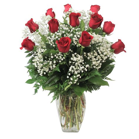 Classic Dozen Roses With Babys Breath Ashland Addison Florist Co