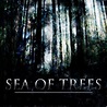 The Sea of Trees, tráiler de la película de Gus van Sant con Matthew ...