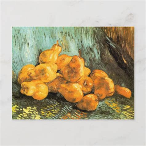 Still Life With Quinces By Vincent Willem Van Gogh Postcard Zazzle