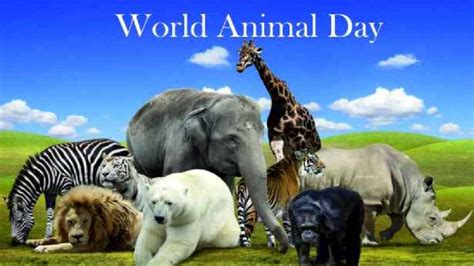 World Animal Day 2022 Theme History Significance And Other Details
