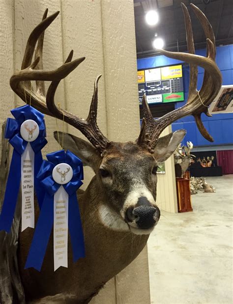 Star City Whitetails Photo Gallery
