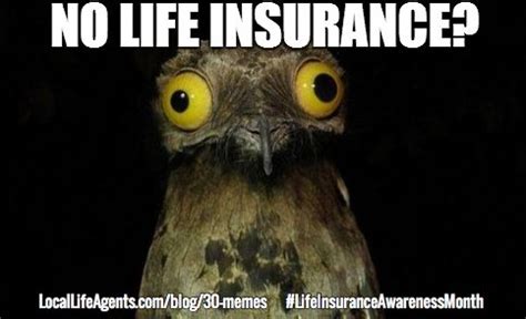 1,225 likes · 16 talking about this. 30 Hilarious Life Insurance Memes - Must See Memes - So Funny