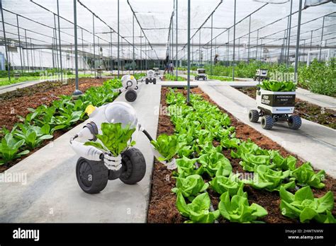 Agriculture Robotic And Autonomous Car Working In Smart Farm Future 5g