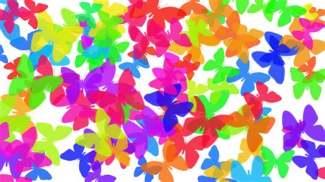 48 Colorful Butterfly Wallpaper