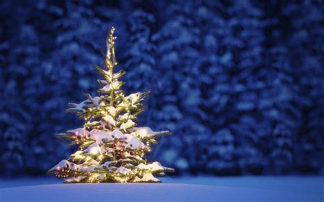 рождество природа деревья Christmas Оформление Windows 7810