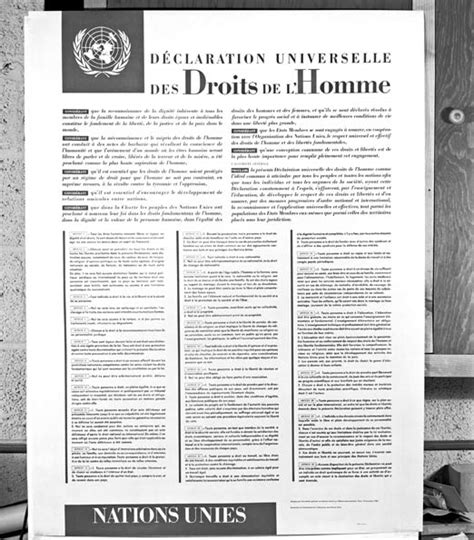 Pdf La Déclaration Universelle Des Droits De Lhomme Pdf Télécharger